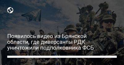 Появилось видео из Брянской области, где диверсанты РДК уничтожили подполковника ФСБ