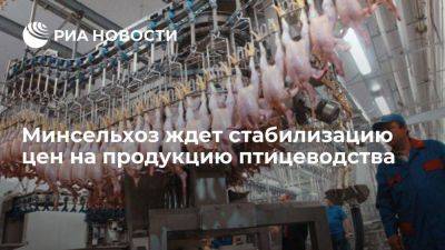 Минсельхоз России: ожидается стабилизация цен на продукцию птицеводства
