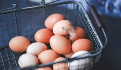 Вы даже не подозревали, что так можно: как правильно варить куриные яйца