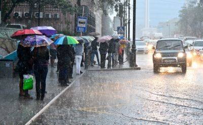 Сильный дождь, гроза и ураганный ветер: Диденко предупредила об ужасной погоде на субботу, 11 ноября и все выходные