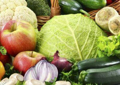 Будут свежими длительное время: как правильно хранить фрукт и овощи - советы экспертов