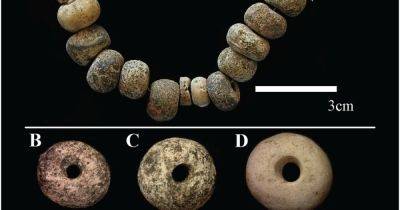 Подбирали цвет сознательно: ученые исследовали каменные бусины возрастом 5 тысяч лет (фото)