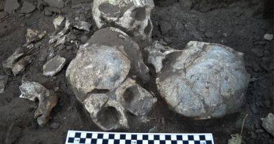 Ужасная резня прошлого: ученые нашли скелеты без головы, которым более 4 тысяч лет (фото) - focus.ua - Китай - Украина - Англия