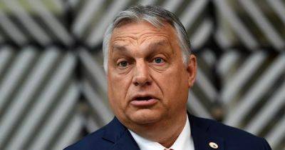 "Все вращается вокруг денег": Венгрия считает Украину конкурентом, — эксперт (видео)