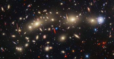 "Новогодняя елка" и звезда Годзилла: телескопы Хаббл и Уэбб показали потрясающие галактики (фото)