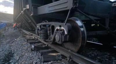 Поезд с 19 вагонами сошел с рельсов в России