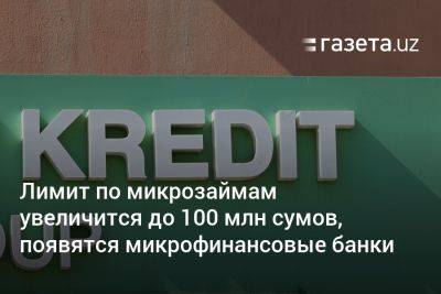 Лимит по микрозаймам в Узбекистане увеличится до 100 млн сумов, появятся микрофинансовые банки