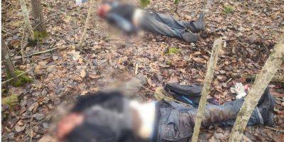 В Сумской области в результате обстрела дороги оккупантами погибли два человека