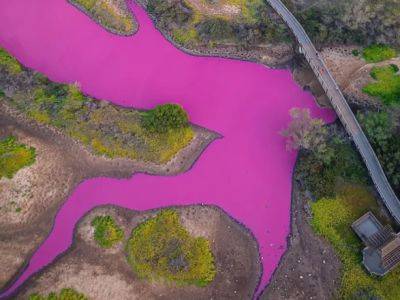 Вода в пруду на Гавайях приобрела шокирующий ярко розовый цветовой оттенок - unn.com.ua - США - Украина - Киев - Япония - штат Гавайи