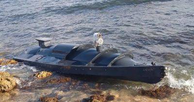 "Это только начало": украинские морские дроны поразили 7 российских кораблей в Черном море (видео)