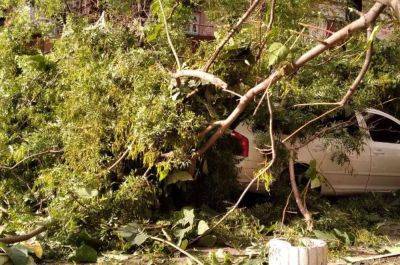 Опасная стихия накрыла Украину: Одессу завалило деревьями, Киев и область без света. Фото, видео