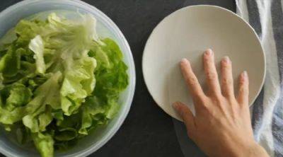Как хранить салат, чтобы он долго был свежим: эффективные советы