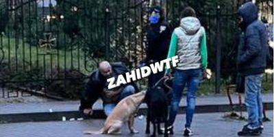Во Львове пенсионер ударил мужчину ножом в грудь и живот из-за ссоры во время выгула собак — видео