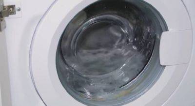Как удалить черный грибок из резинки стиральной машины: узнайте секрет первым