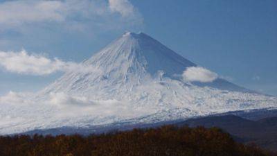 Организатору тура дали 4 года колонии за смерть туристов на вулкане