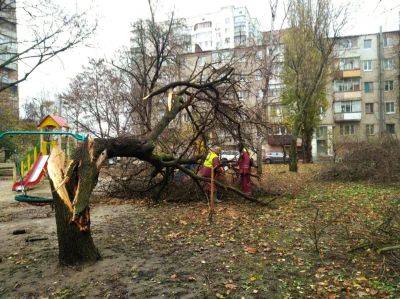 Последствия сильного ветра в Харькове: упали 30 деревьев (фото)