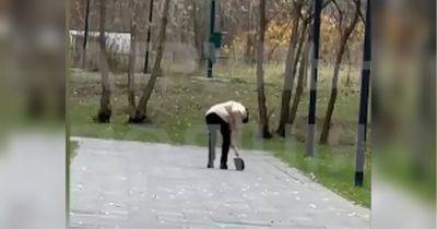 В Киеве неравнодушные прохожие и полиция спасли собаку, над которой хозяин издевался в парке (видео)