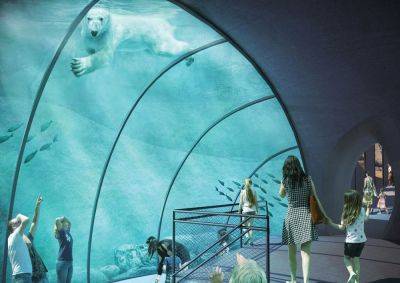 Пражский зоопарк хочет построить «Арктику». Иначе от белых медведей придется отказаться