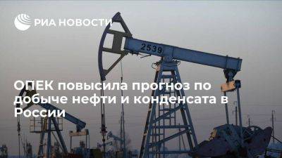 ОПЕК повысила прогноз на 2023 г по добыче нефти и конденсата в РФ на 80 тыс б/с