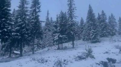 Высокогорье Карпат замело снегом – фото