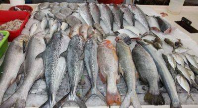 Держитесь от такой подальше: как быстро проверить свежесть рыбы в магазине или на рынке