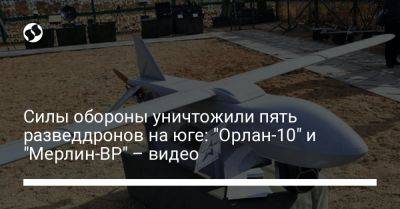 Силы обороны уничтожили пять разведдронов на юге: "Орлан-10" и "Мерлин-ВР" – видео