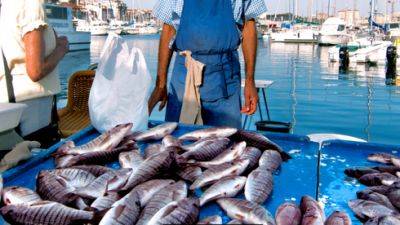 Несмотря на нападки Эрдогана: в Израиле продается рыба из Турции