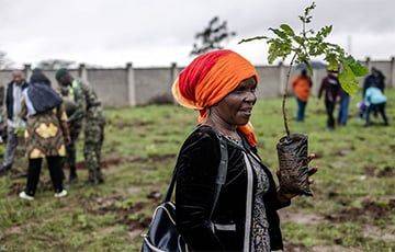 В Кении отправили всех на выходной для посадки 100 млн деревьев