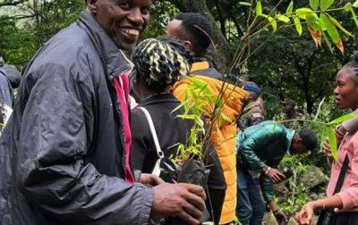 Владимир Зеленский - В Кении объявили выходной, чтобы посадить 100 миллионов деревьев - korrespondent.net - Украина - Киев - Кения