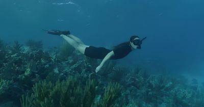 принц Уильям - Кейт Миддлтон - Принц Уильям показал, как нырял с аквалангом с Кейт Миддлтон (видео) - focus.ua - Украина - Багамы