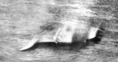 "Охота" продолжается: фотография 1933 года положила начало поискам Лохнесского чудовища