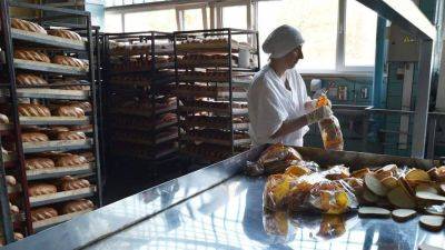 На краюхе: хлебопекарная отрасль попросила расширить господдержку