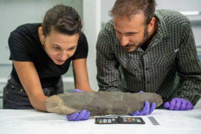 Ученые нашли топор в возрасте 200 тысяч лет в Саудовской Аравии – фото - apostrophe.ua - Украина - Англия - Египет - Саудовская Аравия - Находки