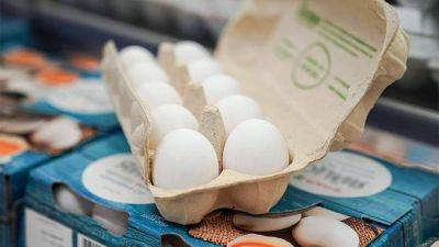 Минсельхоз сообщил о работе по увеличению импорта яиц из стран ЕАЭС