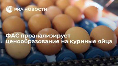 ФАС проанализирует обоснованность оптово-отпускных цен на куриные яйца