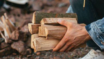Украинцы получат по 16,2 тыс. грн на закупку дров