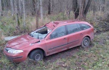 Лось стал причиной смертельного ДТП в Добрушском районе