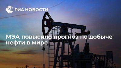 МЭА ожидает увеличения добычи нефти в мире до рекордных 101,8 млн б/с