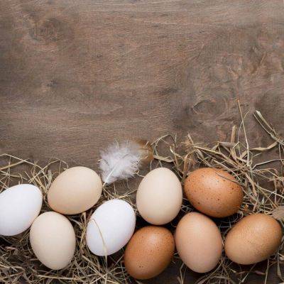 Власти разработали меры для стабилизации цен на яйца