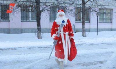 Сколько стоят услуги Деда Мороза в Новосибирске