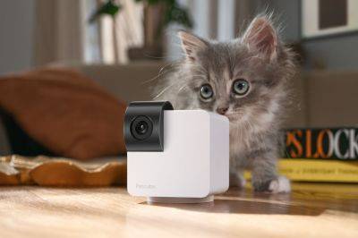 Petcube Cam 360 – новая камера для наблюдения за домашними животными с вращением на 360° и ценой $42