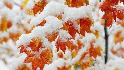 Погода в Украине – какая погода будет 15 ноября и когда придет похолодание
