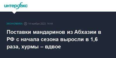 Поставки мандаринов из Абхазии в РФ с начала сезона выросли в 1,6 раза, хурмы – вдвое - smartmoney.one - Москва - Россия - Сочи - Краснодарский край - Апсны