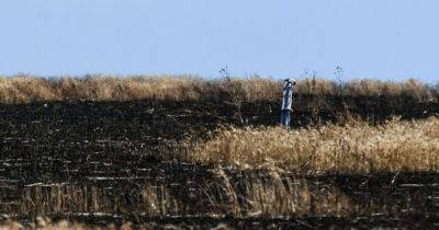 В Минагрополитики заявили, что пятая часть украинских земель непригодна для обработки из-за войны
