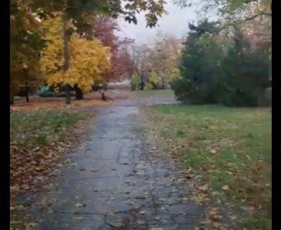 Осень в оккупированном Лисичанске: в сети показали новое видео из города