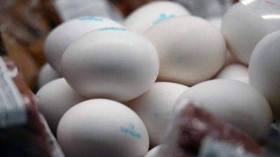 В ОПИ предложили властям ввести фиксированную цену на яйца в РФ
