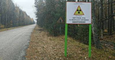 В Чернобыльской зоне отчуждения сдавали в аренду землю для выращивания зерна (видео)