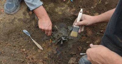 На ножках и с крылышками: в Сербии откопали древнеримский фаллос, служивший оберегом (фото)