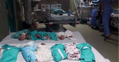 В крупнейшей больнице Газы младенцев греют фольгой из-за нехватки энергии, — Минздрав Палестины