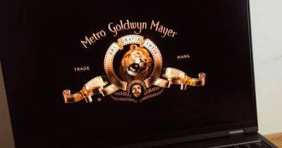 Вы всю жизнь представляли львиный рык неправильно: грозный лев в заставке MGM рычит под фонограмму